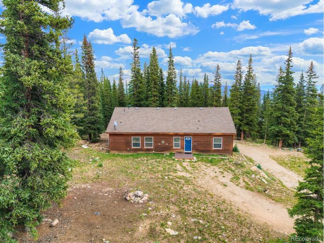 1167 Mountain View Dr, Fairplay, CO 80440