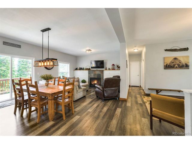 1167 Mountain View Dr, Fairplay, CO 80440