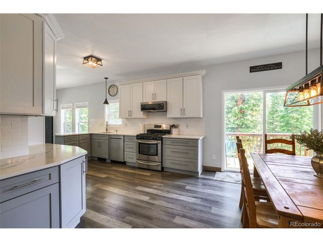 1167 Mountain View Dr, Fairplay, CO 80440