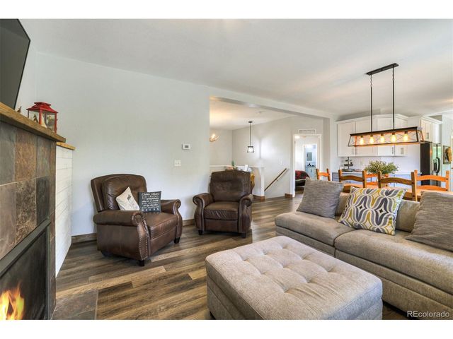 1167 Mountain View Dr, Fairplay, CO 80440