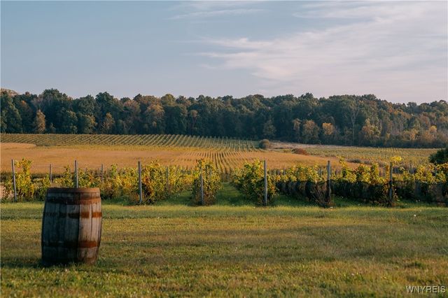 5138 Lower Mountain Road, Cambria, NY 14094