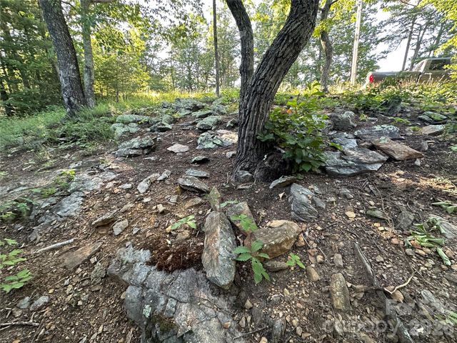 1480 Pine Mountain Drive, Connelly Springs, NC 28612