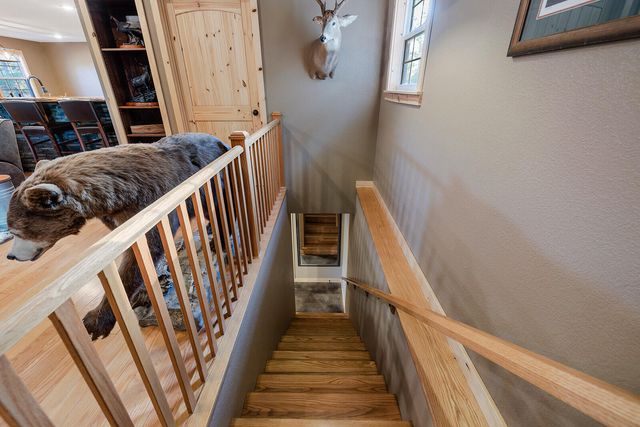 2814 County Road 3690, Mountain View, MO 65548