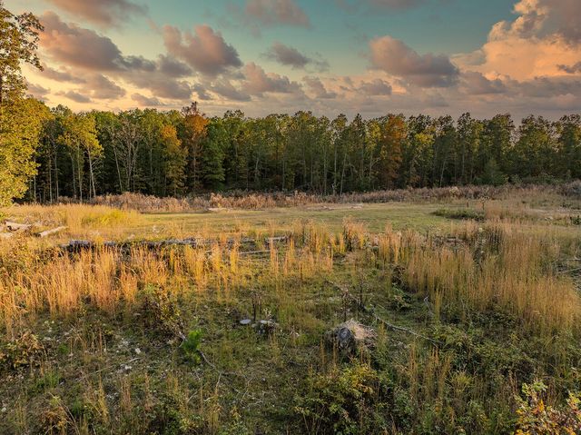 2814 County Road 3690, Mountain View, MO 65548