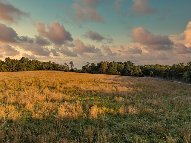 2814 County Road 3690, Mountain View, MO 65548