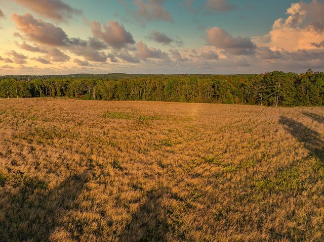 2814 County Road 3690, Mountain View, MO 65548