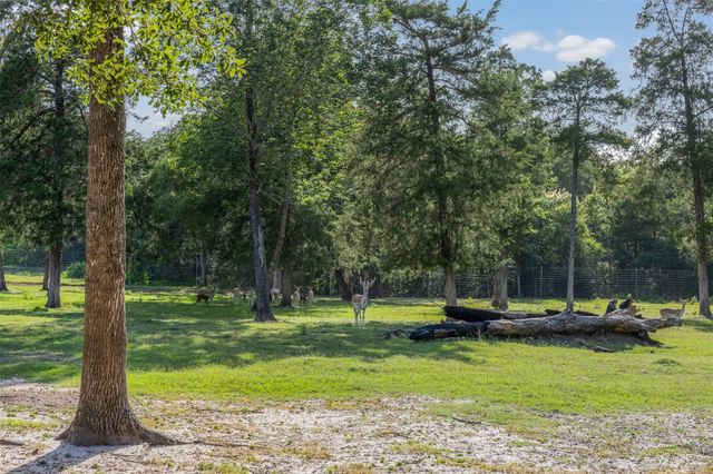 7521 Schoenau Road, Brenham, TX 77833