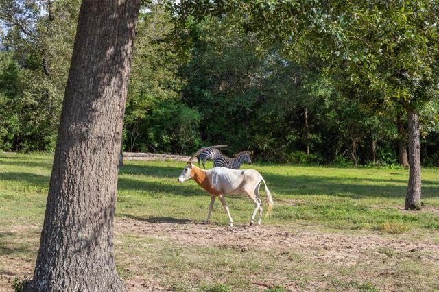 7521 Schoenau Road, Brenham, TX 77833