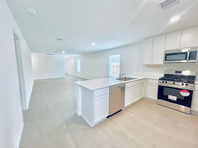 1379 Diamond Carnation Drive, Conroe, TX 77301