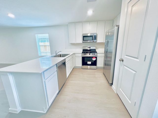 1379 Diamond Carnation Drive, Conroe, TX 77301