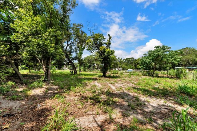 9924 ROCKHILL ROAD, Thonotosassa, FL 33592