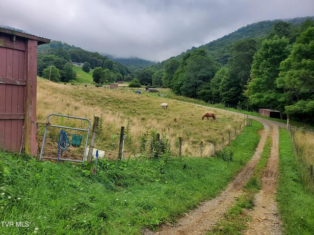 1010 Heaton Creek Road, Roan Mountain, TN 37687