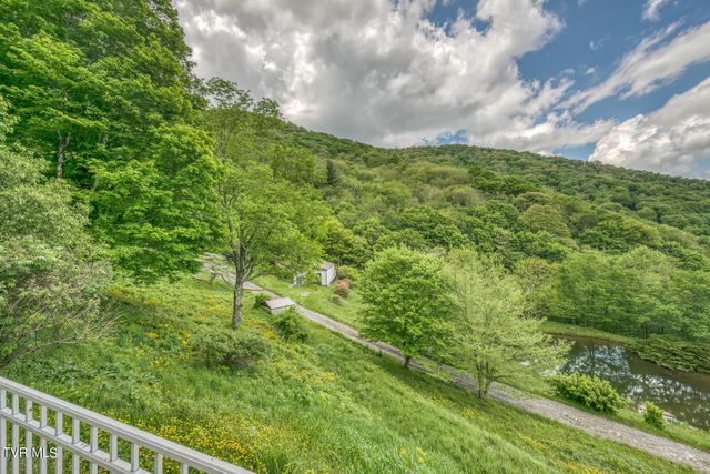 1010 Heaton Creek Road, Roan Mountain, TN 37687