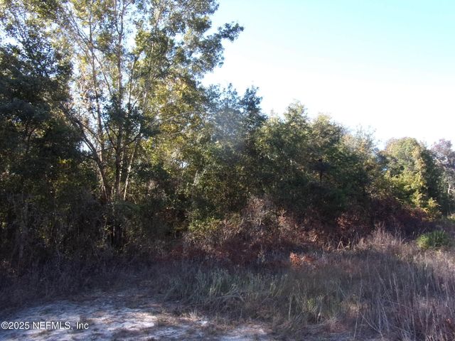 00 OAK RUN Road, Crescent City, FL 32112