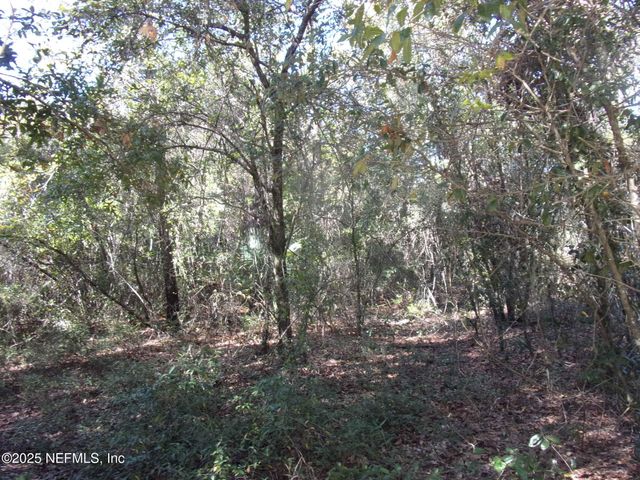 00 OAK RUN Road, Crescent City, FL 32112