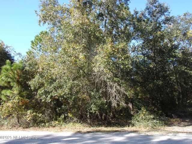 00 OAK RUN Road, Crescent City, FL 32112