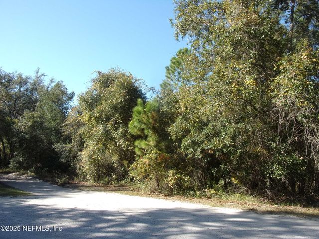 00 OAK RUN Road, Crescent City, FL 32112