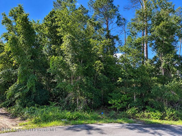 Lot 44 Short Court, Spring Hill, FL 34609