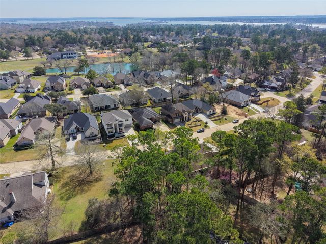 228 Blue Hill Drive, Montgomery, TX 77356