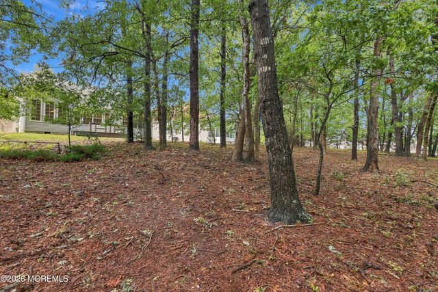 33 Valley Stream Place, Barnegat, NJ 08005