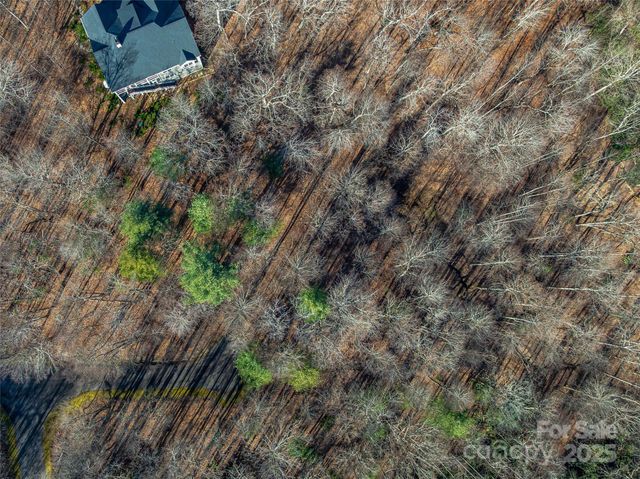 TBD Ladys Fern Trail 10, Laurel Park, NC 28739