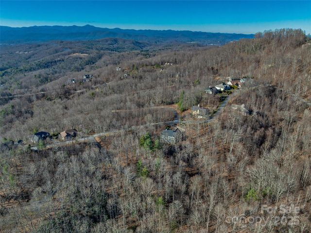 TBD Ladys Fern Trail 10, Laurel Park, NC 28739