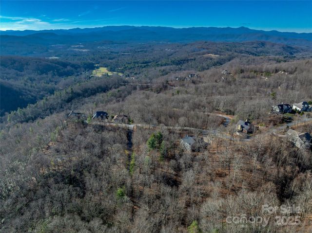 TBD Ladys Fern Trail 10, Laurel Park, NC 28739