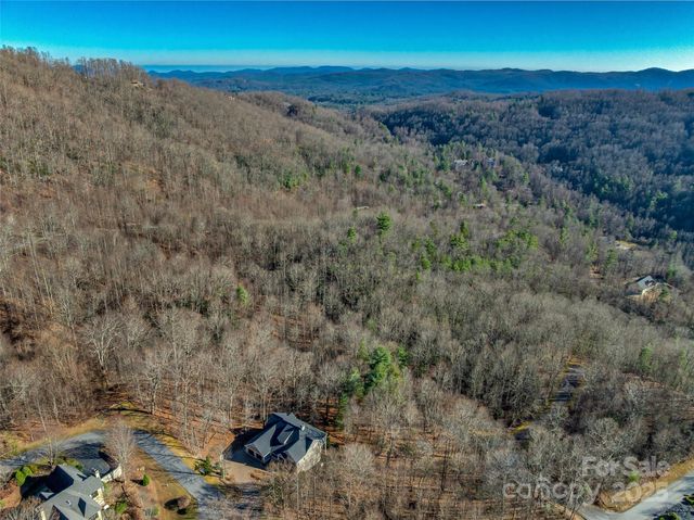 TBD Ladys Fern Trail 10, Laurel Park, NC 28739