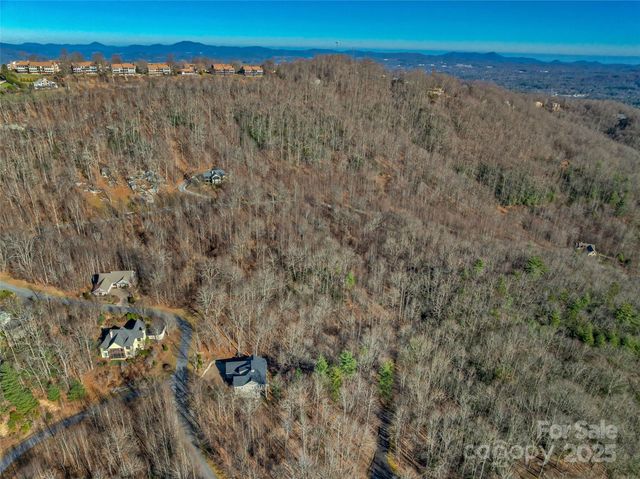 TBD Ladys Fern Trail 10, Laurel Park, NC 28739