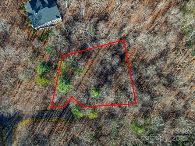 TBD Ladys Fern Trail 10, Laurel Park, NC 28739