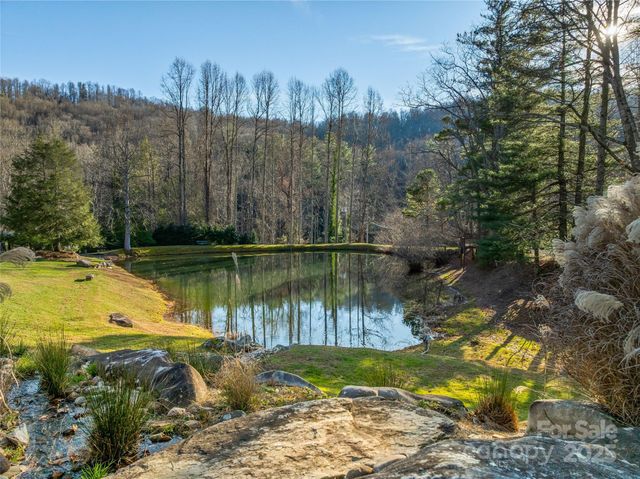 TBD Ladys Fern Trail 10, Laurel Park, NC 28739