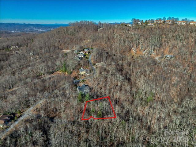 TBD Ladys Fern Trail 10, Laurel Park, NC 28739