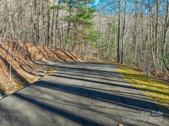 TBD Ladys Fern Trail 10, Laurel Park, NC 28739