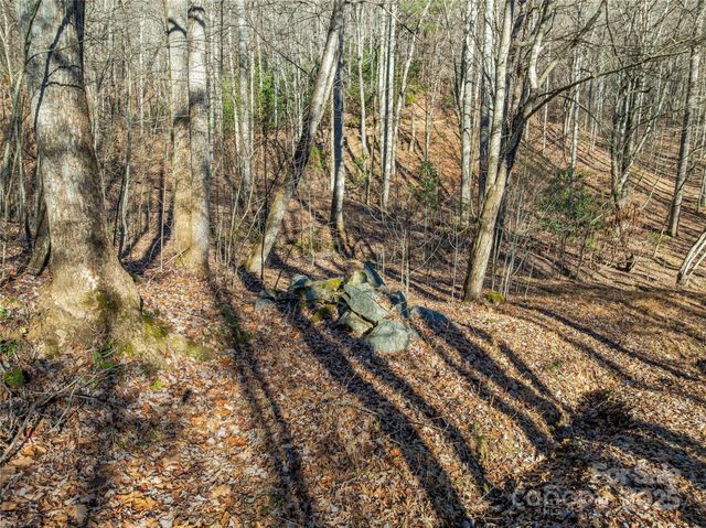 TBD Ladys Fern Trail 10, Laurel Park, NC 28739