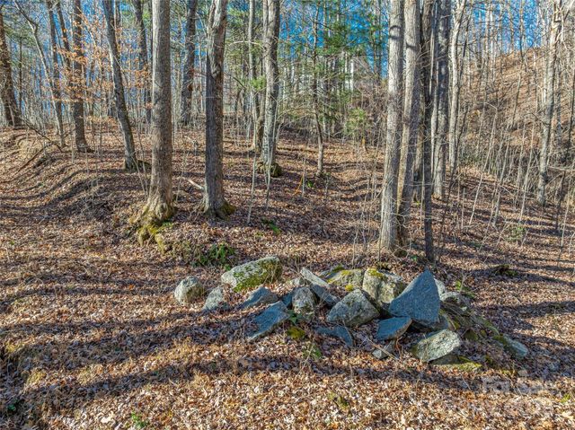 TBD Ladys Fern Trail 10, Laurel Park, NC 28739