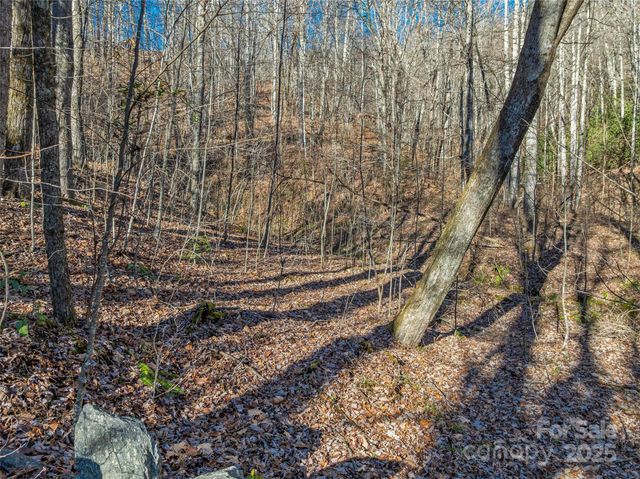 TBD Ladys Fern Trail 10, Laurel Park, NC 28739