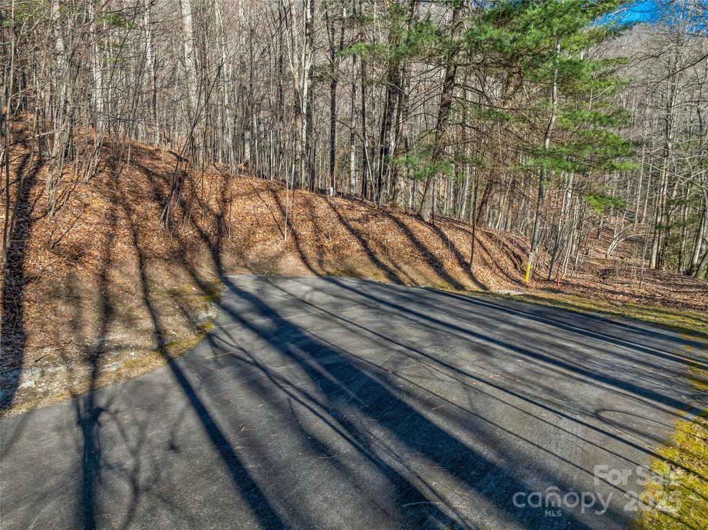 TBD Ladys Fern Trail 10, Laurel Park, NC 28739