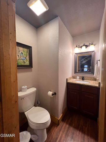 1115 Anastasia Way, Gatlinburg, TN 37738