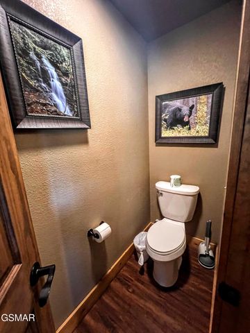 1115 Anastasia Way, Gatlinburg, TN 37738