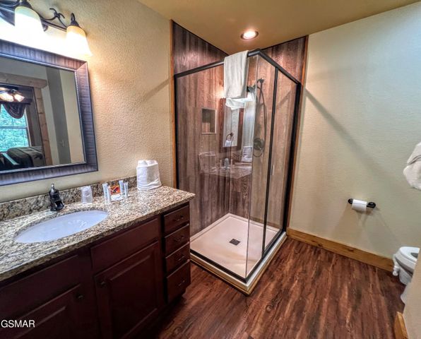 1115 Anastasia Way, Gatlinburg, TN 37738