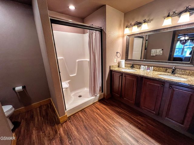 1115 Anastasia Way, Gatlinburg, TN 37738