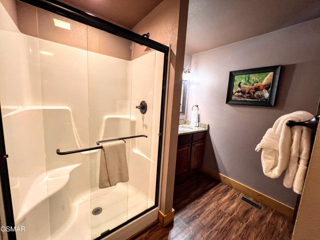 1115 Anastasia Way, Gatlinburg, TN 37738