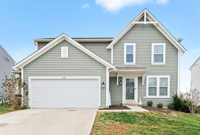 919 Darlington Creek Drive, Alexandria, KY 41001