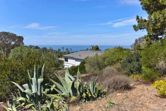 6381 Castejon, La Jolla, CA 92037
