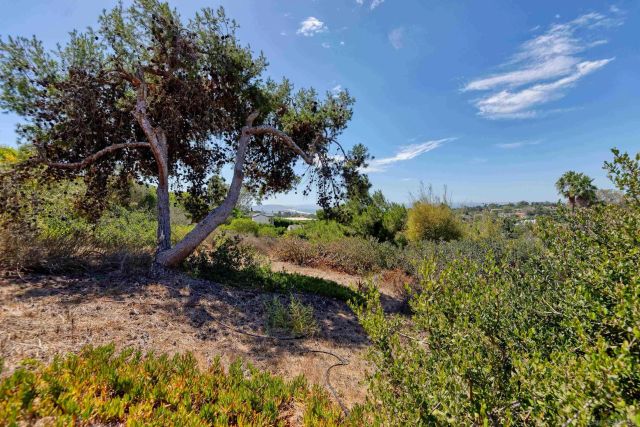 6381 Castejon, La Jolla, CA 92037