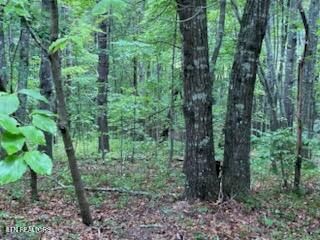 18 Golden Circle, Fairfield Glade, TN 38558