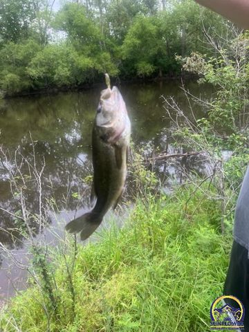 9020 SW Wanamaker Rd, Wakarusa, KS 66546