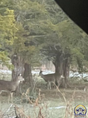 9020 SW Wanamaker Rd, Wakarusa, KS 66546