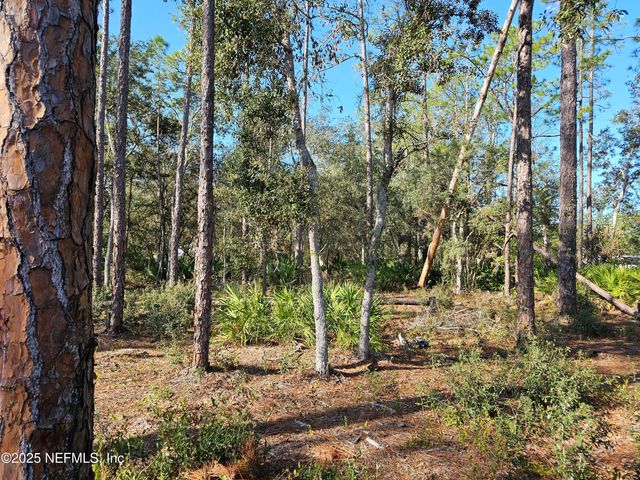 117 GLISSON Street, Interlachen, FL 32148