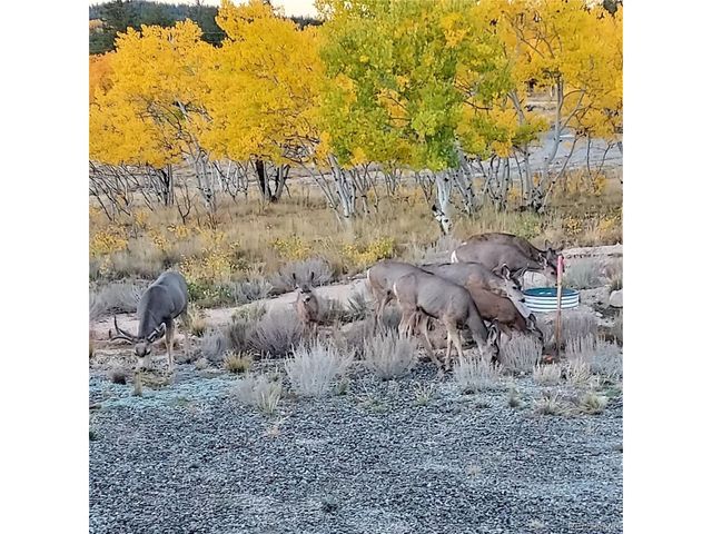 207 Overland Cir, Jefferson, CO 80456